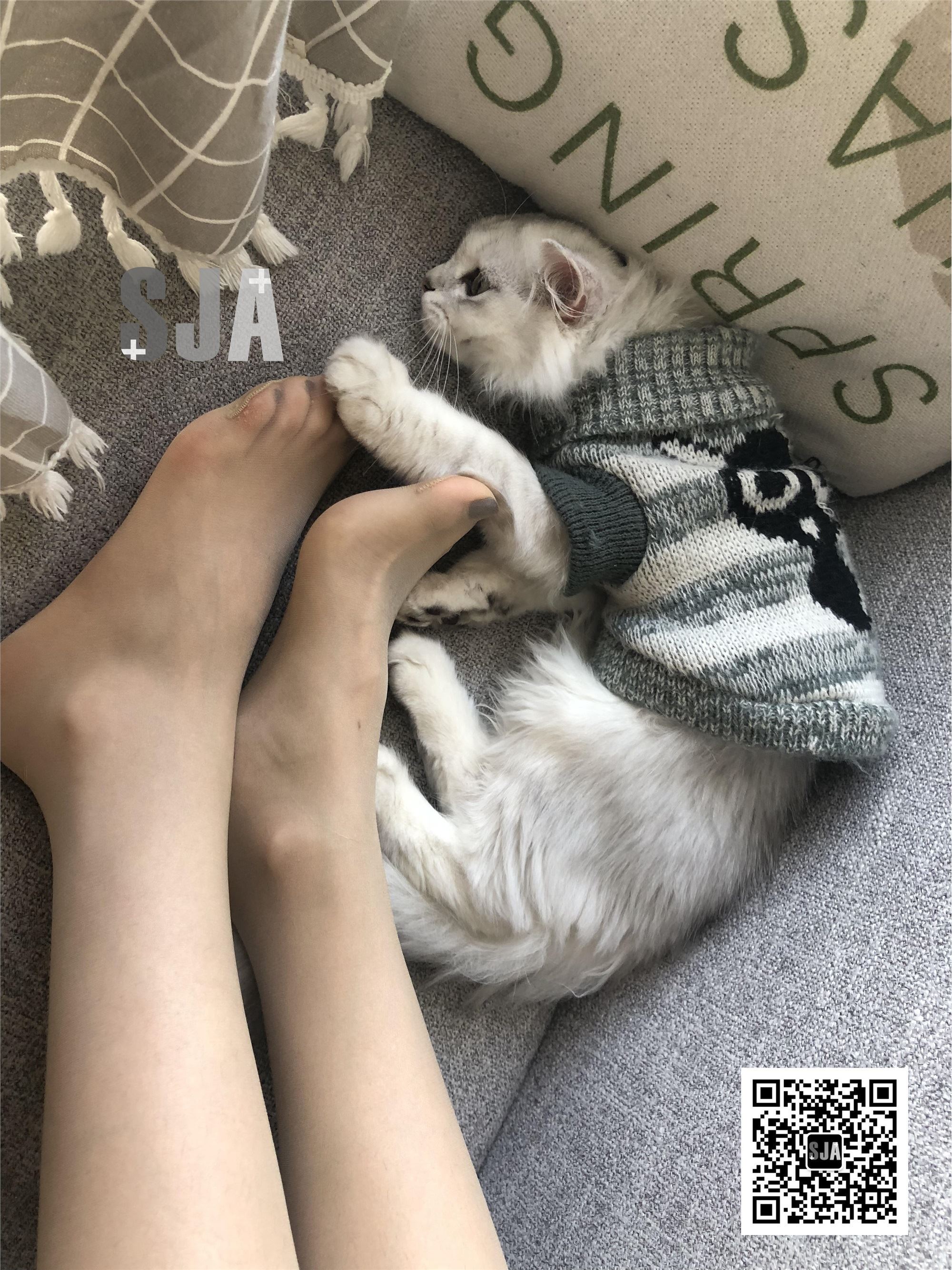 SJA佳爷 闺蜜视角 NO.013 喵